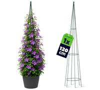 KADAX Tuteur ŕ Colonne Autonome pour Jardin, Roses, Plantes grimpantes, Plantes grimpantes, tuteur en Acier, Aide ŕ l'escalade, Treillis, Pyramide résistante aux intempéries, Vert Höhe: 120 cm Vert