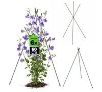 KADAX Tuteurs pour plantes grimpantes, 60 cm, lot de 5, tuteurs métalliques avec revêtement en plastique, obélisques pour fleurs, boutures et fraises grimpantes
