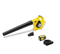 Kärcher Kärcher Leafblower LBL 4 Batterie Set Quantité:1
