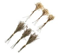 KAILIKETIY Bouquet Fleurs 6 Pcs Séchées Gypsophile Herbe des Amoureux Décoration Maison et Salon pour Mariage et Accessoire Photo Couleur Aléatoire