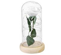 KAILIKETIY Rose Blanche Éternelle Base en Bois sous Dôme en Verre Lumière LED Décorative pour Décoration de Table ou Club