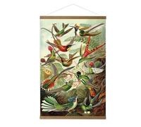 Kakemono affiche Vol d'oiseaux tropicaux Colibris 60 x 80cm Multicolore
