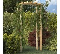 Kaloriko Arche Treillage en Bois de pin Massif imprégné, pergola Jardin extérieur 110 x 60 x 210 cm, Support Plante grimpante Rosier Lierre Vigne Fleur, Structure Solide pour allée terrasse Cour