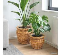 Kaloriko Panier de Plante avec Stockage Lot de 2 Brun Naturel en Rattan kubu, Doublure Plastique Amovible, 40 x 40 x 35 cm, léger et Durable, pour Salon terrasse Chambre déco bohème