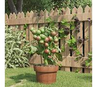 Kaloriko Supports pour Plantes de Jardin Vert, Lot de 5, Acier 45 cm, tuteur à 3 Anneaux, Cage pour Tomate, Maintien des Plantes grimpantes au Potager, Balcon et terrasse
