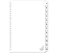 Kangaro Lot de 12 intercalaires Blanc Format A4 190 g 23 g