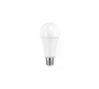 Kanlux ampoule LED E27 19W A67 - blanc naturel