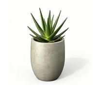 Kante Jardinière, béton patiné, 30 cm de Haut