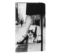 KAOS - Agenda journalier 16 mois officiel Kaos, Planner avec élastique et signet, couverture anti-rayures avec 3 graphiques assortis, intérieur spécial organisé, format 13 x 21 cm