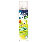 KAPO Aérosol Insecticide 250ml
