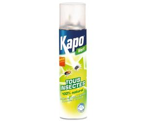 KAPO Aérosol Insecticide 250ml