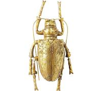 Kare Design Décoration Murale Longicorn Beetle, Or, Animal Insecte, Sculpture, Elegante, Art, Moderne, Deco Intérieur, Decoration Chambre, Salon, Maison, Cadeau, 27 x 15 x 7 cm