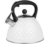 KARL HAUSMANN Bouilloire Inox 3 L Induction Gaz, Blanc | Theiere inox 3 L pour induction, gaz et vitrocéramique, couvercle amovible, poignée en plastique