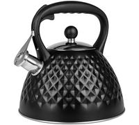 KARL HAUSMANN Bouilloire Inox 3 L Induction Gaz, Noir | Theiere inox 3 L pour induction, gaz et vitrocéramique, couvercle amovible, poignée en plastique