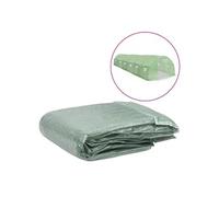 vidaXL Couverture de remplacement de serre 300x900x200 cm (27 m²) Vert