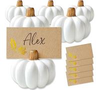 Kate Aspen Fall Decor Lot de 6 mini porte-cartes en forme de citrouille blanche, parfaits pour la décoration de table de Thanksgiving, les mariages sur le thème de l'automne, les brunchs de mariage