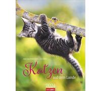 Katzen auf dem Lande Kalender 2024