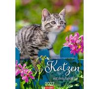 Katzen auf dem Lande Kalender 2027: Süße Kätzchen in ländlicher Idylle: Ein Foto-Kalender zum Dahinschmelzen. Planer mit Platz zum Eintragen. Hochformat 30 x 39 cm