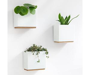 Kazai. Jardinières Murales -Alma- | 3 Pots de Fleurs Suspendus Modernes en Résine | Ensemble de Porte-Plantes pour Plantes d'intérieur, Plantes artificielles et Plus | Blanc