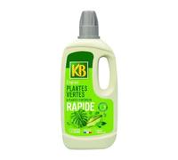 Engrais Rapide Plantes Vertes Et Plantes D’intérieur 1L