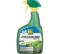 KB HOME DEFENSE Evergreen - Pyrale du Buis Express UAB PAE 700 ML - KPYR700