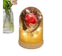Kbnuetyg Préservée | Roses dans un dôme en verre avec éclairage - comme cadeau - Pour la Saint-Valentin, Noël, grand-mère, sœur, fille