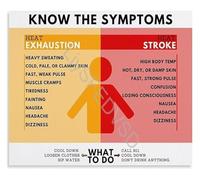 KCDFDVJFBM Heat Exhaustion Vs Heat Stroke Symptoms Infographic Comparison Poster Canvas for Workplace and First Aid Training(Framed,12x18inch(30x45cm))