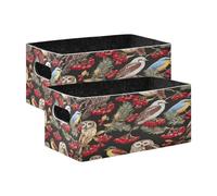 Kcldeci Lot de 2 paniers de rangement robustes et pliables pour étagères, placard, chambre d'enfant Motif oiseaux d'hiver, hiboux