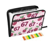 Kcldeci Trieur extensible Cerise 67 | Organiseur accordéon à 13 poches, format A4, format lettre, documents, reçus, classeur accordéon