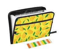 Kcldeci Trieur extensible Mangue | Organiseur accordéon à 13 poches, format A4, format lettre, documents, reçus, classeur accordéon