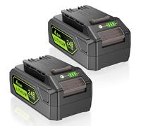 KEATFE Lot de 2 batteries de rechange 24 V 4 Ah pour Greenworks, batterie Li-Ion GW2430 pour outils Greenworks 29842 29852 BAG708 BAG711 20352 22232 2508302