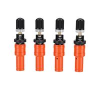 Keenso Dégonflateur de Pneu, Arrêt Automatique, Réglable 10-30 PSI en | Détendeur contrôlé, Sortie calibrée individuellement, Valve à visser pour les sentiers du désert