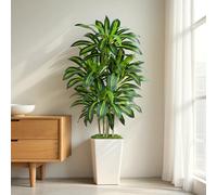 Keeplush Dracaena artificiel de 1,5 m - Feuillage haute densité avec pot de fleurs blanc - Plante de sol imitation yucca pour décoration de maison, bureau et intérieur