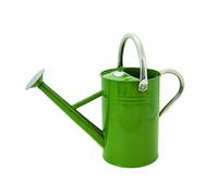 Kent & Stowe Arrosoir Vintage de 4,5 l Vert Olive - Verseuse en Acier galvanisé pour l'arrosage Quotidien - Verseuse Classique de Style Anglais avec 2 poignées