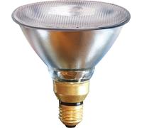 Kerbl Lampe à Économie d'Énergie PAR38 - Transparent - 175 Watt