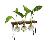 KESOTO Vase Hydroponique en Verre avec Cadre en Bois, Vase Transparent pour Présenter Fleurs et Plantes, Terrarium Moderne pour Table Basse Ou Table à Manger, Trois Bouteilles
