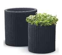 Keter Bac à fleurs, set de 2 bacs à fleurs en rotin Pot de fleurs Décoration