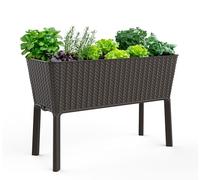 Keter Easy Jardinière surélevée de 100 litres avec jardinière à arrosage Automatique et Bouchon de Drainage, Parfait pour cultiver des légumes Frais, des Fleurs et des Herbes aromatiques, Graphite