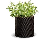 KETER MEDIUM CYLINDER Pot, 36 x 36 x 37,3 cm, rotin, marron 17197835