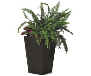 KETER RATTAN PLANTER S 23,6L Pot petit, 28,5 x 43,5 cm, anthracite 17192300