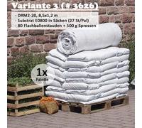 Kettinger Pack d'étanchéité pour toiture végétalisée 10m², comprenant 1000g de tiges + 100 plantes vivaces, substrat E0800 en sacs