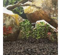 KGCRYUWED Granulés de lave 10 kg Pierre volcanique 5-8 cm Fond de sol pour | Filtre biologique, pierre décorative, pour eau douce et eau salée