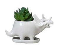 KiaoTime Pot de fleurs en céramique blanche en forme de dinosaure, petit pot de fleurs, bonsaï, pot de cactus, décoration d'animaux de bureau, pot à crayons pour maternelle