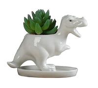 KiaoTime Pots de fleurs en céramique blanche en forme de dinosaure pour plantes grasses - Pot de fleurs bonsaï - Vase pour cactus - Décoration de bureau - Pot à crayons pour chambre d'enfant