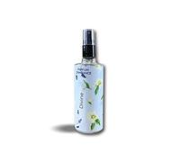 Kibros Lot 3 aérosols parfumeur Divine 125 ml professionnel
