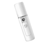 KICHOUSE Mini Humidificateur Portable Blanc 20ml en Abs Pulvérisateur Nano pour Visage, Design Simple, pour Chambre et Extérieur