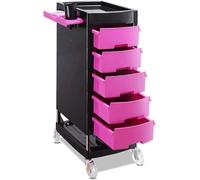 KIJyfgTR Chariot de Salon en ABS Durable, Chariot de Salon à 5 Grands tiroirs avec roulettes, Chariot de Rangement Utilitaire, Armoire for Stations de Salon(Rose Red)