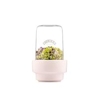 Kilner Set de germination Kilner Transparent-blanc. 500 ml