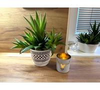 Kimmel Lot de 3 Cache-Pots Classiques 11 cm pour Plantes d'intérieur et Plantes Grasses, Cactus - Blanc