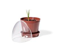 Kimmel Lot de 6 Pots de Culture en Forme de Coccinelle Marron, sans boîte de Rangement, 6 ER Set